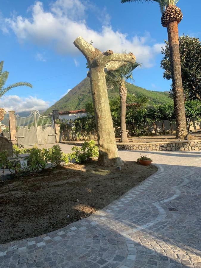 Villa Lucia Terrazza Panoramica カステッランマーレ・ディ・スタービア エクステリア 写真